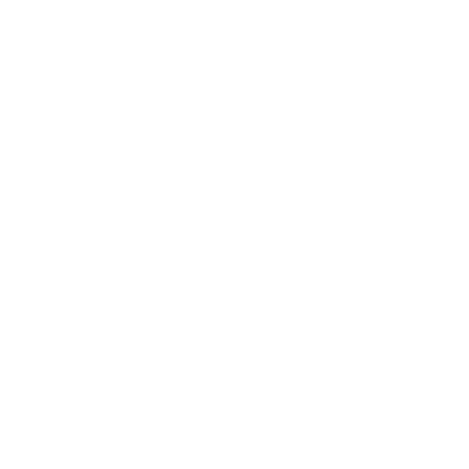 Assessment-Icon