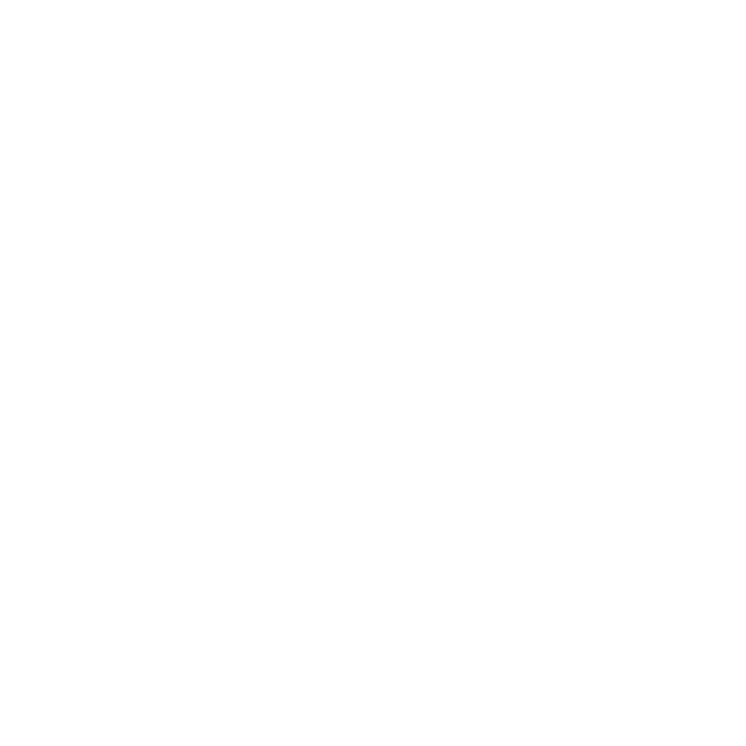 Reporting-Icon