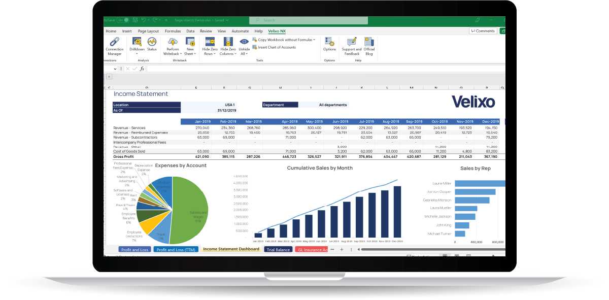 Velixo Sage Intacct Income Statement